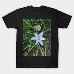 Star of Bethlehem 1 T-Shirt